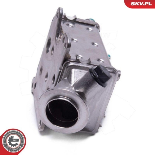 ESEN SKV K&uuml;hler, Abgasr&uuml;ckf&uuml;hrung 14SKV249