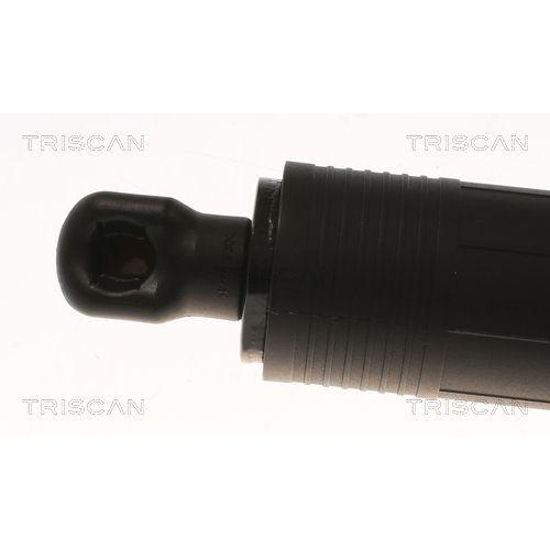 TRISCAN Gasfeder, Koffer-/Laderaum 8710 11360