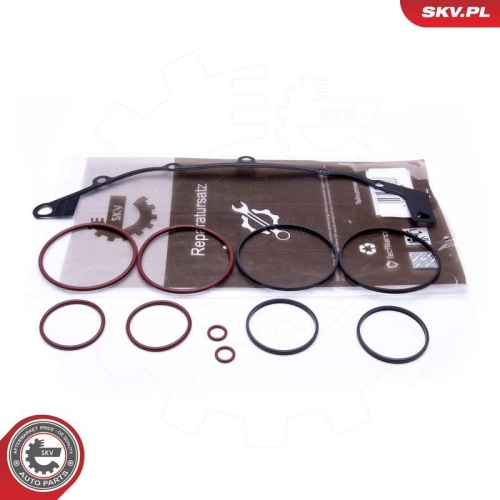 ESEN SKV Reparatursatz, Saugrohrmodul 96SKV400