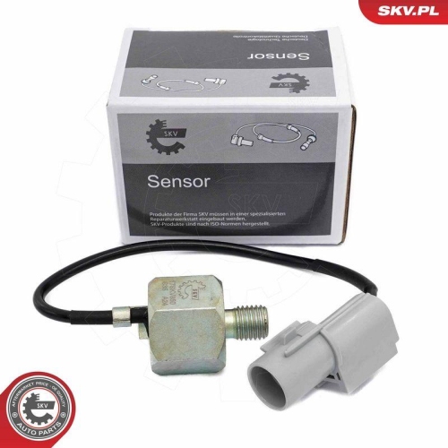 ESEN SKV Klopfsensor 17SKV850