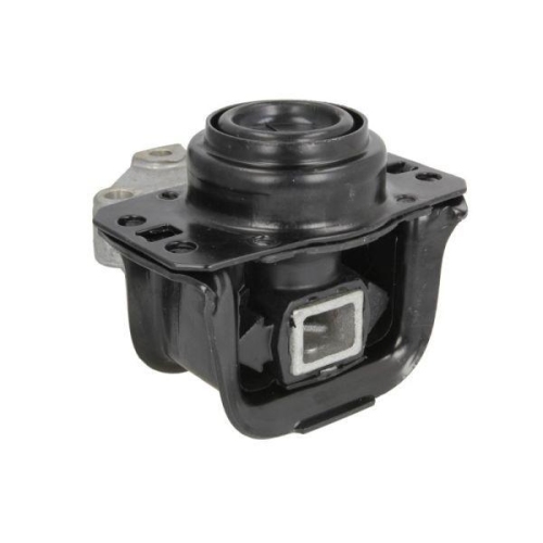 REINHOCH Lagerung, Motor RH11-2089
