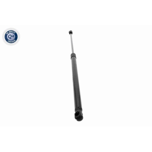 VAICO Gasfeder, Koffer-/Laderaum Green Mobility Parts V42-1138