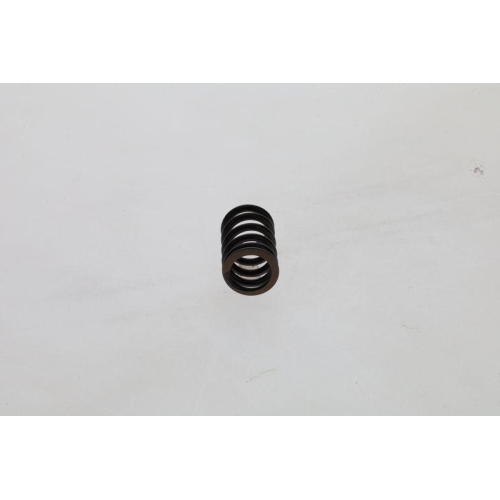 BOSCH Feder 1 424 619 025