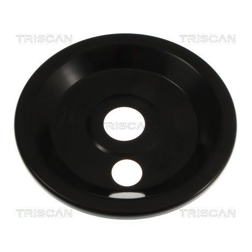 TRISCAN Spritzblech, Bremsscheibe 8125 23122