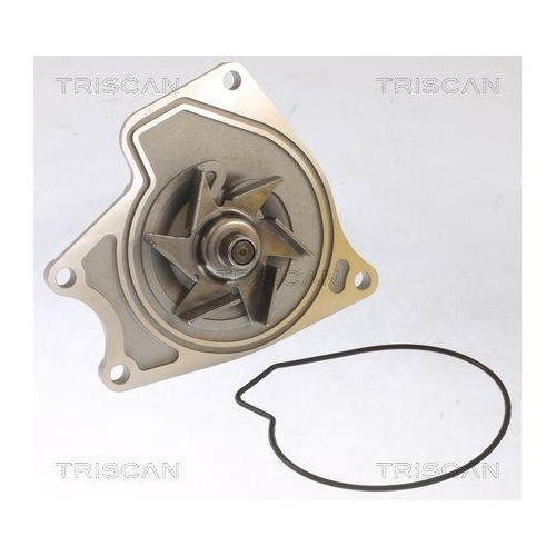 TRISCAN Wasserpumpe, Motork&uuml;hlung 8600 42024