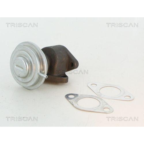 TRISCAN AGR-Ventil 8813 27100