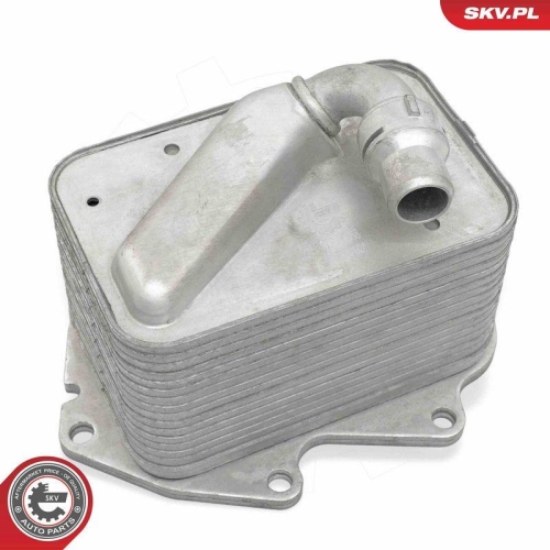 ESEN SKV &Ouml;lk&uuml;hler, Motor&ouml;l 31SKV368