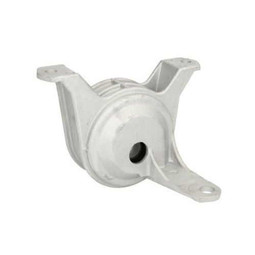 REINHOCH Lagerung, Motor RH11-5012