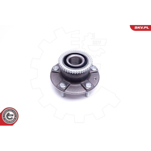 ESEN SKV Radlagersatz 29SKV399