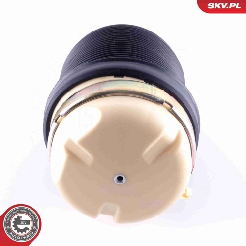 ESEN SKV Luftfeder, Fahrwerk 58SKV029