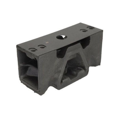 REINHOCH Lagerung, Motor RH58-9003