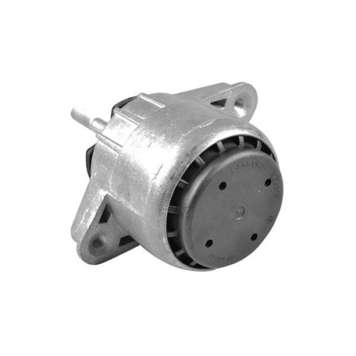 TEDGUM Lagerung, Motor