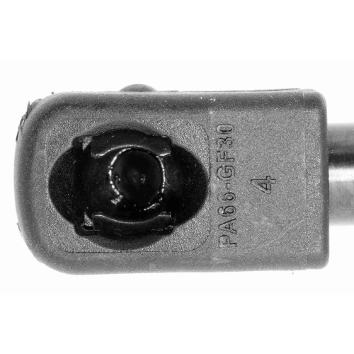 VAICO Gasfeder, Koffer-/Laderaum Original VAICO Qualit&auml;t V25-0556