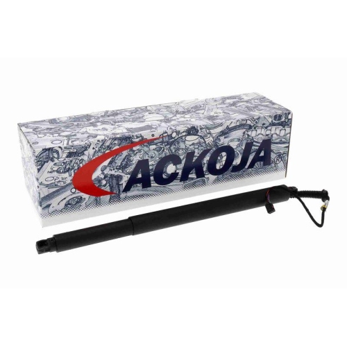 ACKOJA Elektromotor, Heckklappe Green Mobility Parts A53-55-0004