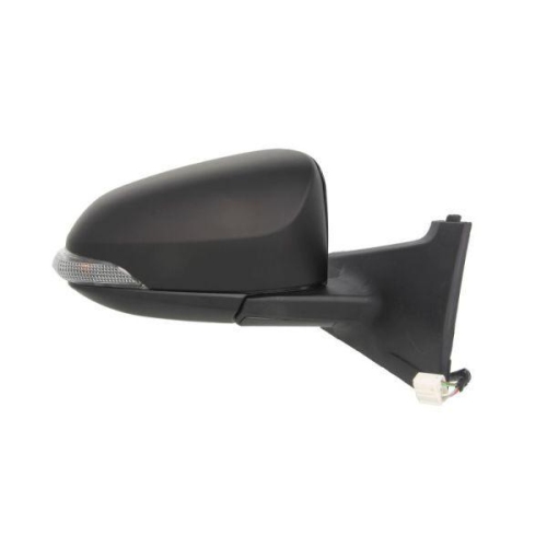 BLIC Außenspiegel 5402-19-2002556P