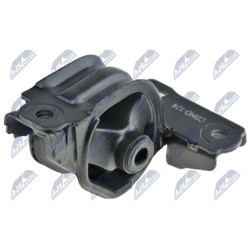 NTY Lagerung, Motor ZPS-HD-124