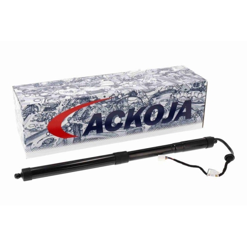 ACKOJA Elektromotor, Heckklappe Green Mobility Parts A70-55-0015