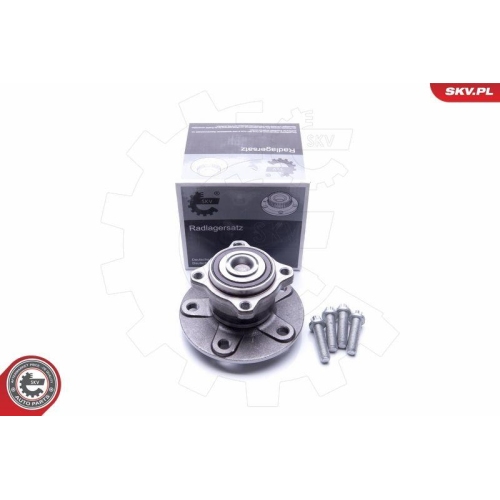 ESEN SKV Radlagersatz