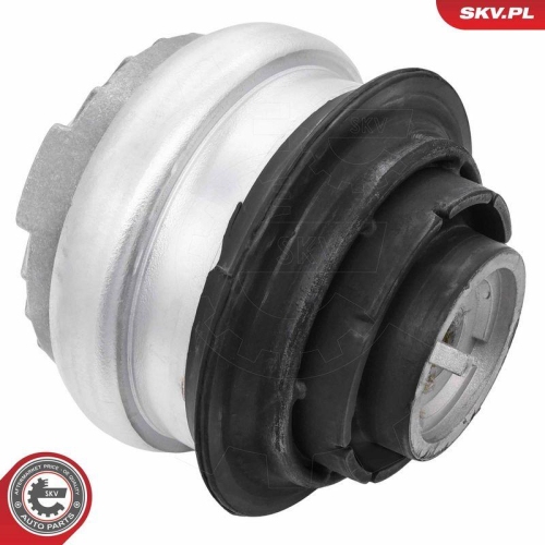 ESEN SKV Lagerung, Motor 75SKV006