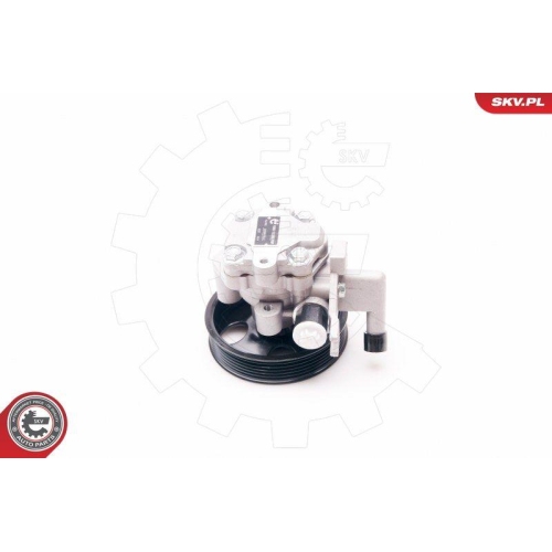 ESEN SKV Hydraulikpumpe, Lenkung