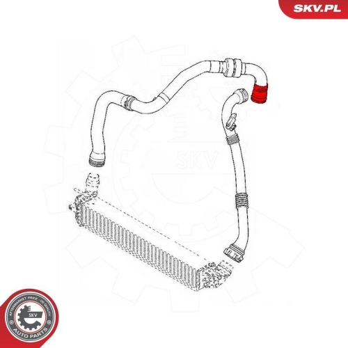 ESEN SKV Ladeluftschlauch 43SKV011