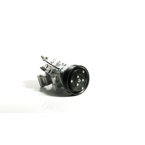 MAHLE Kompressor, Klimaanlage ACP 1750 000S