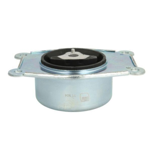 REINHOCH Lagerung, Motor RH11-5031
