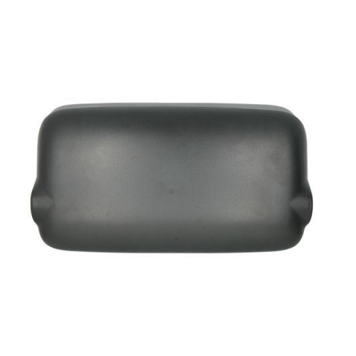 PACOL Au&szlig;enspiegel MAN-MR-029