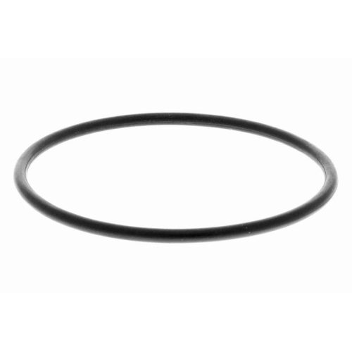 VAICO Kraftstofffilter Green Mobility Parts V22-0529