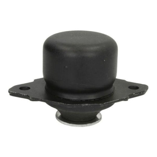 REINHOCH Halter, Motoraufhängung RH11-0130