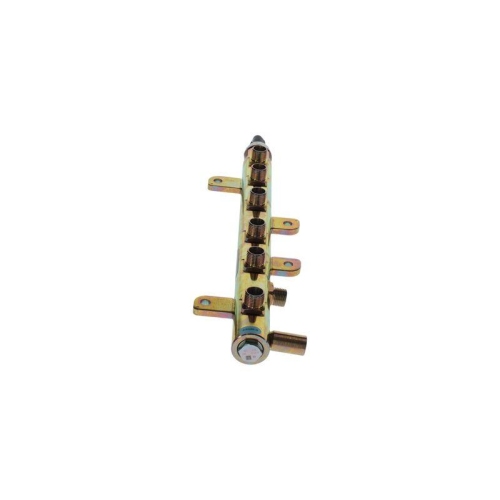 BOSCH Verteilerrohr, Kraftstoff 0 445 226 126