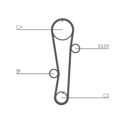 CONTINENTAL CTAM Wasserpumpe + Zahnriemensatz CT942WP1