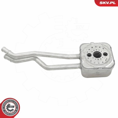 ESEN SKV &Ouml;lk&uuml;hler, Motor&ouml;l 31SKV293