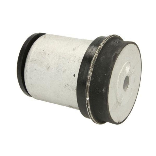 REINHOCH Lagerung, Achsk&ouml;rper RH20-5011