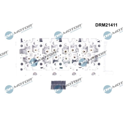Dr.Motor Automotive Zylinderkopf DRM21411