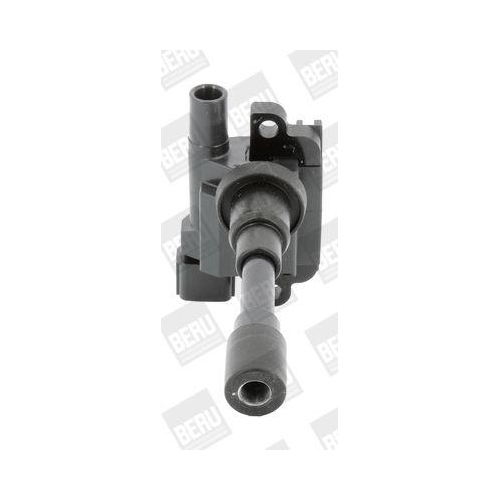 BorgWarner (BERU) Z&uuml;ndspule ZSE181