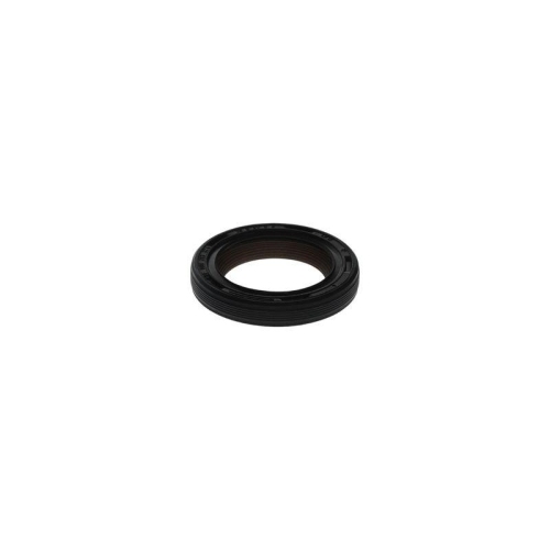 BOSCH Dichtung F 00N 203 874