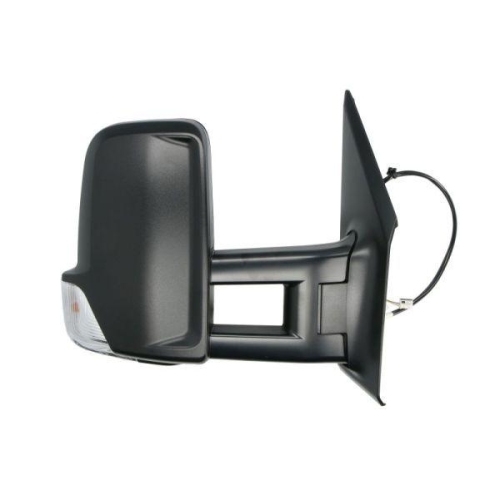 BLIC Außenspiegel 5402-04-2247366P