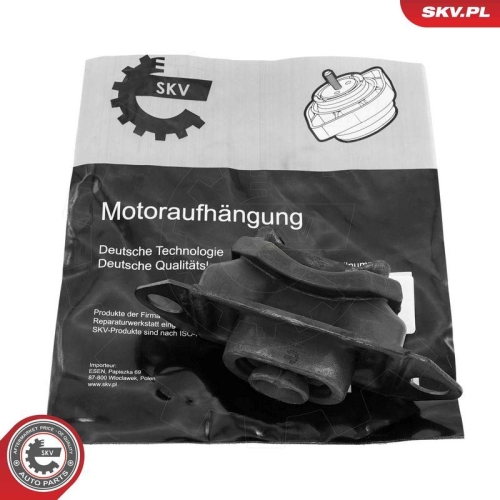 ESEN SKV Lagerung, Motor 75SKV080