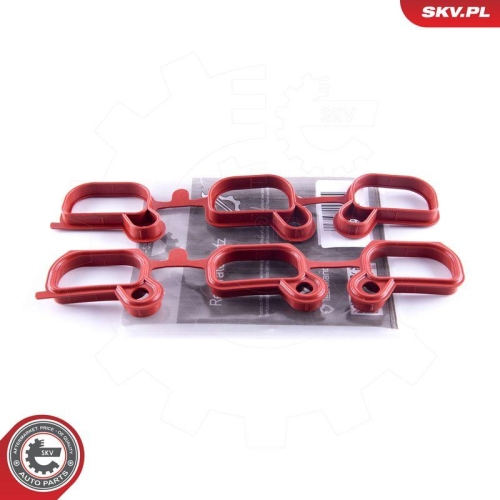ESEN SKV Reparatursatz, Saugrohrmodul 49SKV651