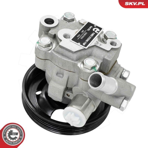 ESEN SKV Hydraulikpumpe, Lenkung