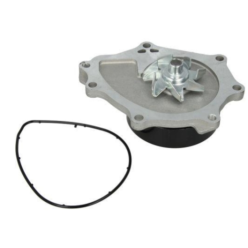 THERMOTEC Wasserpumpe, Motork&uuml;hlung D12089TT