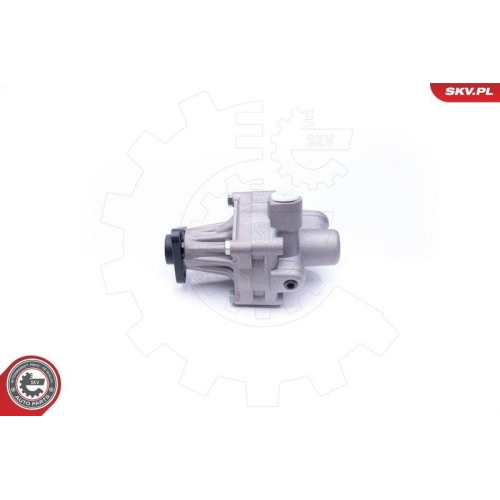 ESEN SKV Hydraulikpumpe, Lenkung