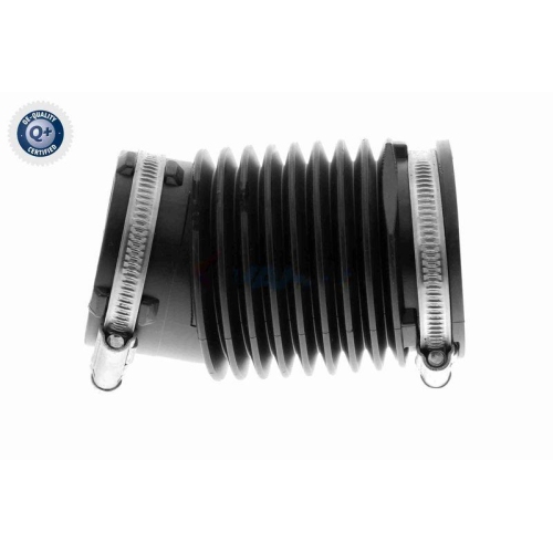 VAICO Ansaugschlauch, Luftfilter Q+, Erstausr&uuml;sterqualit&auml;t V25-1910