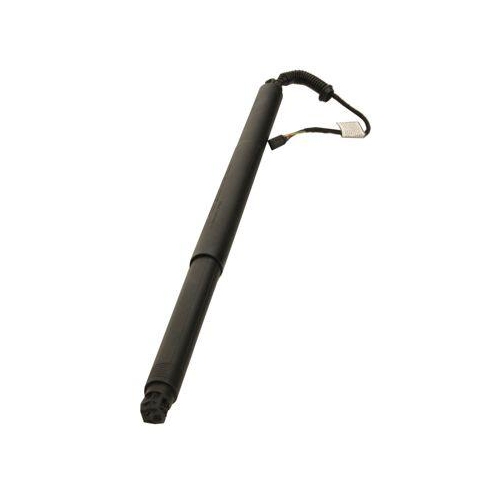 MAXGEAR Gasfeder, Einlegeboden (Koffer-/Laderaum) 12-2560