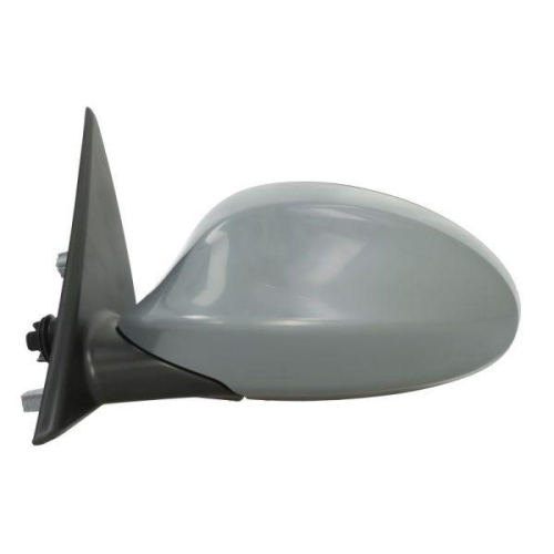 BLIC Außenspiegel 5402-04-1191520P