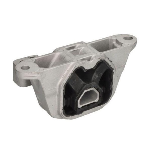REINHOCH Lagerung, Motor RH11-0172