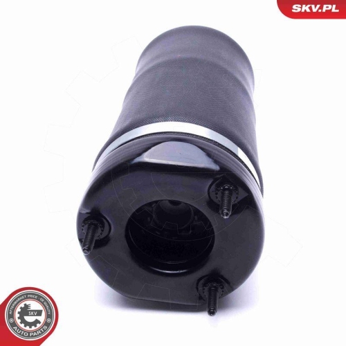 ESEN SKV Luftfederbein 58SKV066