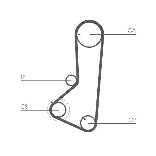 CONTINENTAL CTAM Zahnriemen CT836