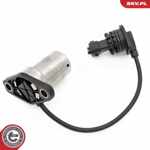 ESEN SKV Sensor, Motor&ouml;lstand 17SKV937